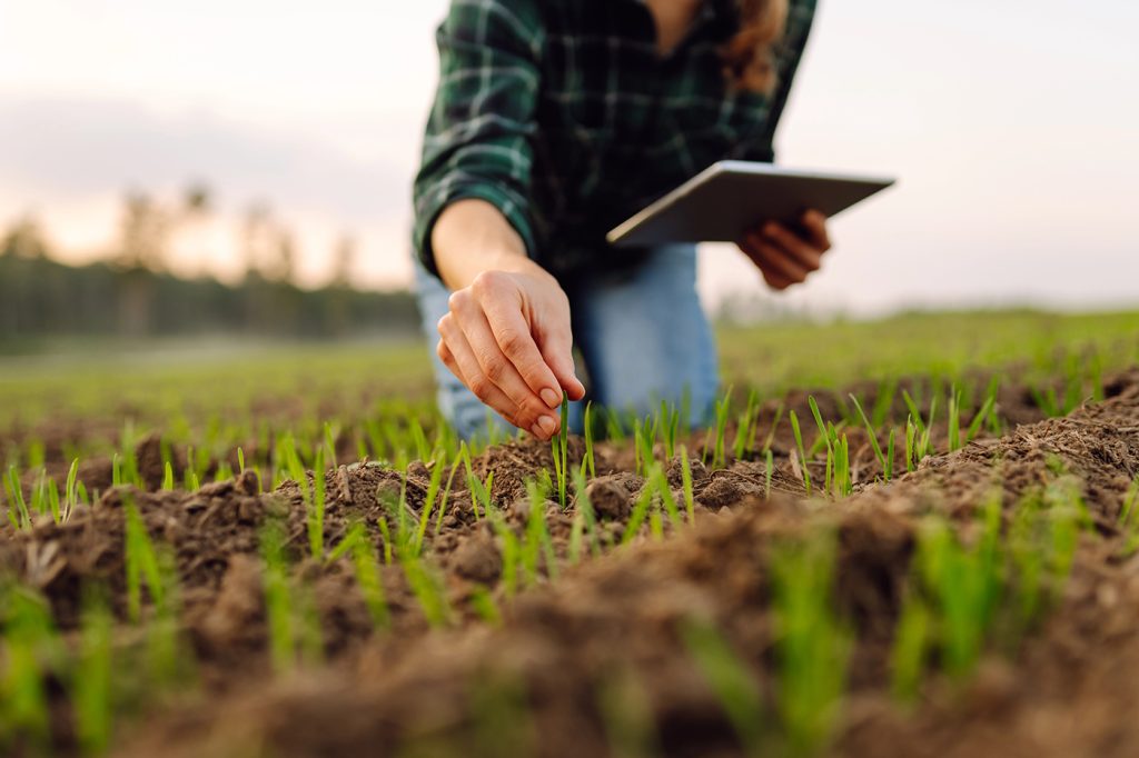 O Crescimento da Agricultura Regenerativa em 2024